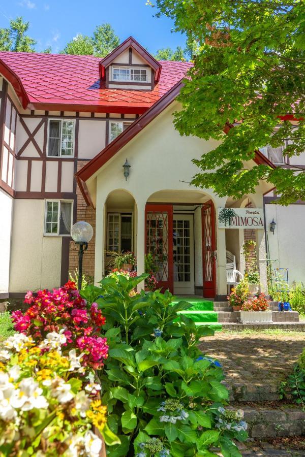 白马村 ピュアモール ミモザ酒店 外观 照片
